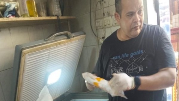 أسيوط.. ضبط 4 أطنان لحوم ودواجن غير صالحة وفحص 17 طنًا توريدات غذائية