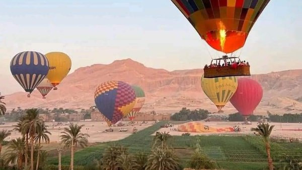 49 رحلة بالون تزين سماء الأقصر.. 1300 سائح يحلقون فوق عاصمة الحضارة 49 رحلة بالون تزين سماء الأقصر.. 1300 سائح يحلقون فوق عاصمة الحضارة