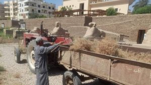 استمرار أعمال النظافة بطريق الكباش.. الحفاظ على واجهة الأقصر الحضارية