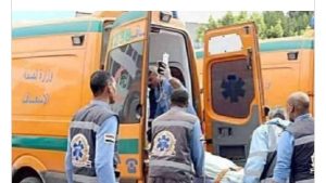 مأساة أثناء حصاد الذرة.. مصرع مزارع دهسًــا تحت «الدراسة» في أسوان