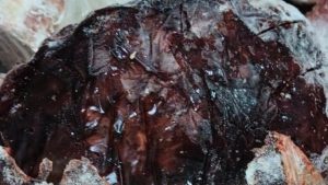 في حملة مكبرة.. ضبط 1.5 طن لحوم وكبدة مجمدة فاسدة بشبين القناطر