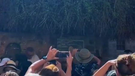 بين قمم الجبال وعبق التاريخ.. 365 سائحًا من 8 جنسيات في رحاب سانت كاترين