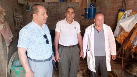 الدقهلية: تحصين 254 ألف رأس ماشية ضد الحمى القلاعية وحمى الوادي المتصدع