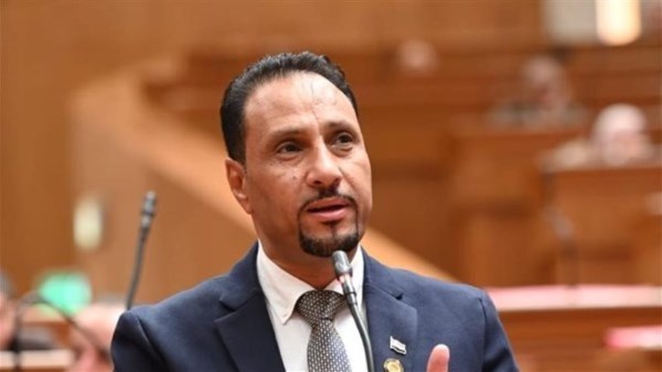 برلماني: مصر لا تقف على هامش التحولات الدولية.. والسيسي يفتح أبوابًا جديدة للشراكة