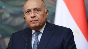 سامح شكري: دعم السعودية دفاعيًا لا يعني انخراط مصر في الحرب