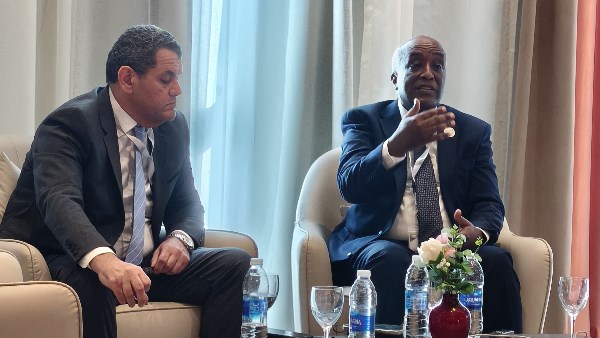 نائب وزير الخارجية للشؤون الأفريقية: مصر احتلت المرتبة الأولى أفريقيا في جذب الاستثمارات للعام الرابع
