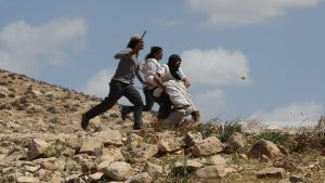 14 واقعة اعتداء على المزارعين الفلسطينيين وموسم الزيتون خلال يوم واحد في أربع محافظات