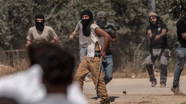 “الجدار والاستيطان” الفلسطينية توثق 22 اعتداء للاحتلال الإسرائيلي والمستوطنين على قاطفي الزيتون
