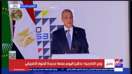 وزير الخارجية: التكامل الاقتصادي بين الدول الأفريقية لا يُبنى بقرارات شخص
