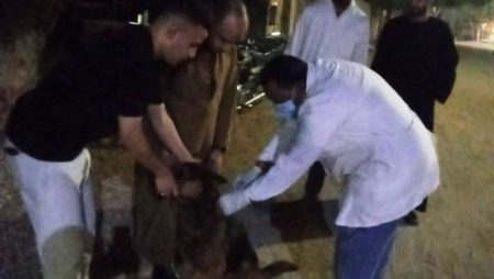 تحصين 27 كلبًا خلال حملة بيطرية مُكبرة بساقلتة في سوهاج .. صور
