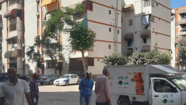 بيطري بورسعيد تحيل طبيبة وفني يعملان بجمع الكلاب الضالة للتحقيق بيطري بورسعيد تحيل طبيبة وفني يعملان بجمع الكلاب الضالة للتحقيق