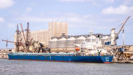 تداول 26 سفينة حاويات وبضائع عامة بميناء دمياط