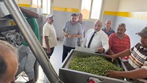 زيتون سيناء يدخل مرحلة جديدة.. وزير الزراعة يطلق تشغيل معصرة النثيلة لدعم المزارعين