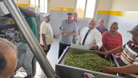 زيتون سيناء يدخل مرحلة جديدة.. وزير الزراعة يطلق تشغيل معصرة النثيلة لدعم المزارعين