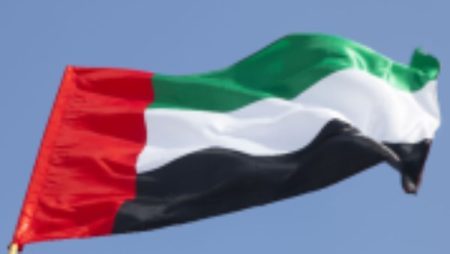 بعد حادث الطائرة.. إجراء إماراتي يخص شركة فلاي دبي