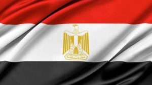 مدير وكالة “الطاقة الذرية يشيد بدور الرئيس السيسي المحوري في إعادة التواصل بين الوكالة وطهران