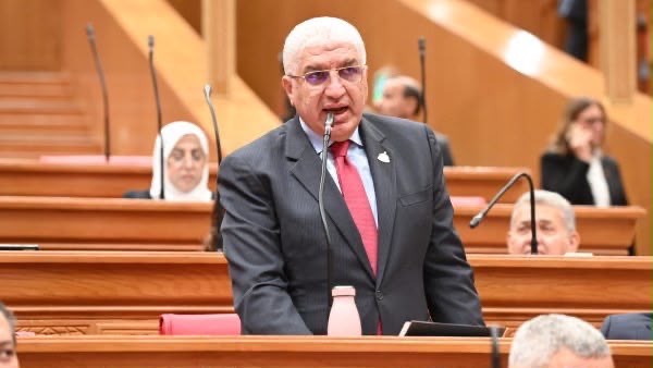 برلماني: سيناء مصرية خالصة.. وسيادة مصر خط أحمر لا يقبل التفاوض
